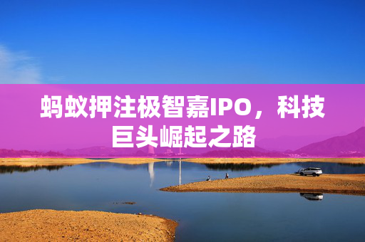 蚂蚁押注极智嘉IPO，科技巨头崛起之路