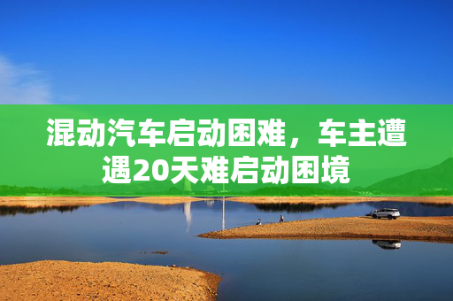 混动汽车启动困难，车主遭遇20天难启动困境