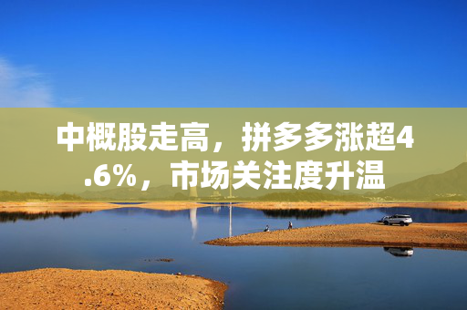 中概股走高，拼多多涨超4.6%，市场关注度升温