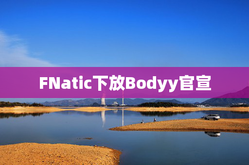 FNatic下放Bodyy官宣