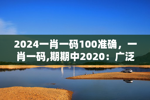 2024一肖一码100准确，一肖一码,期期中2020：广泛的解读分析版权356.APP.33