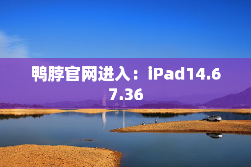 鸭脖官网进入：iPad14.67.36