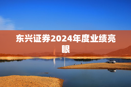 东兴证券2024年度业绩亮眼