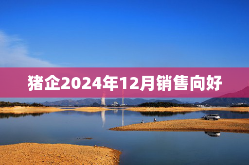 猪企2024年12月销售向好