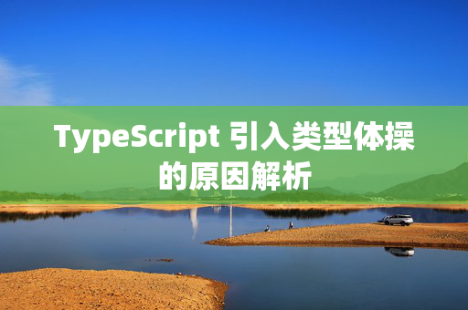 TypeScript 引入类型体操的原因解析