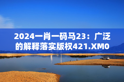 2024一肖一码马23：广泛的解释落实版权421.XM0.46