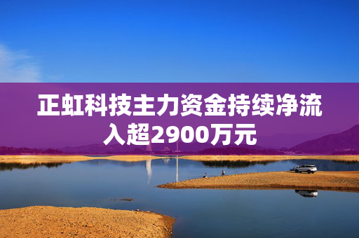 正虹科技主力资金持续净流入超2900万元