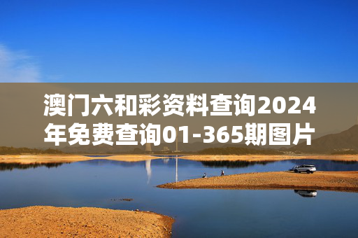 澳门六和彩资料查询2024年免费查询01-365期图片，正版资料免费资料大全十点半：通俗的解释落实版权1490.3D.A339