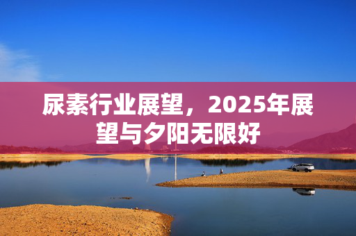 尿素行业展望，2025年展望与夕阳无限好