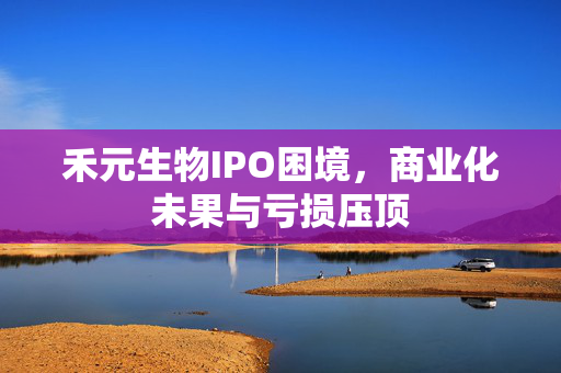 禾元生物IPO困境，商业化未果与亏损压顶