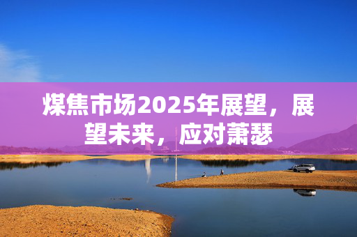 煤焦市场2025年展望，展望未来，应对萧瑟