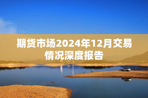 期货市场2024年12月交易情况深度报告