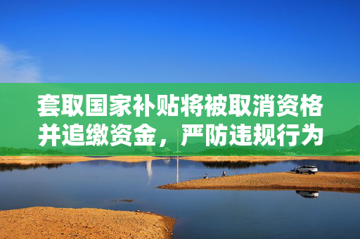 套取国家补贴将被取消资格并追缴资金，严防违规行为