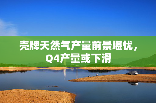 壳牌天然气产量前景堪忧，Q4产量或下滑