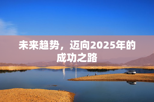 未来趋势，迈向2025年的成功之路