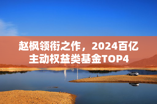 赵枫领衔之作，2024百亿主动权益类基金TOP4