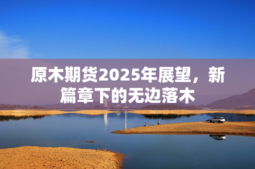 原木期货2025年展望，新篇章下的无边落木