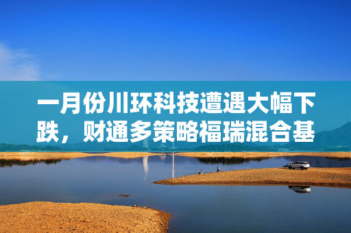 一月份川环科技遭遇大幅下跌，财通多策略福瑞混合基金重仓该股分析