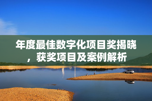 年度最佳数字化项目奖揭晓，获奖项目及案例解析