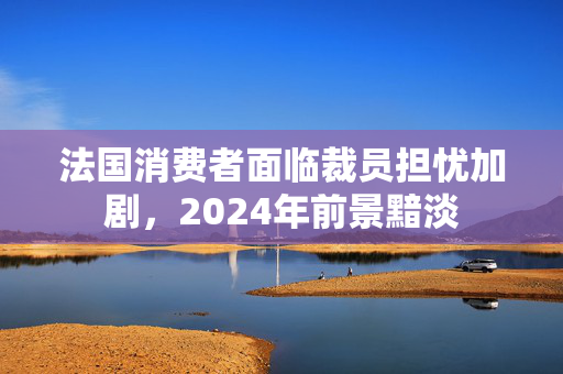 法国消费者面临裁员担忧加剧，2024年前景黯淡