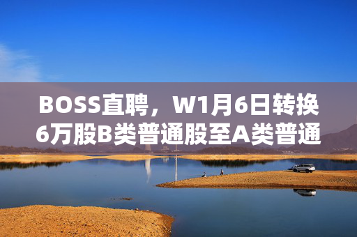 BOSS直聘，W1月6日转换6万股B类普通股至A类普通股策略与执行