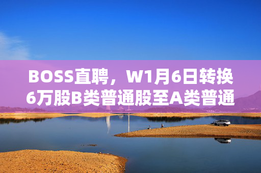 BOSS直聘，W1月6日转换6万股B类普通股至A类普通股策略执行