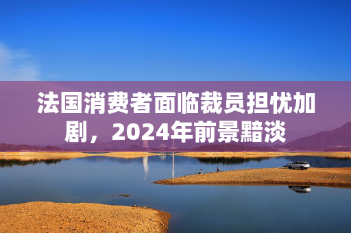 法国消费者面临裁员担忧加剧，2024年前景黯淡