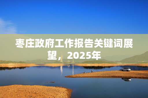 枣庄政府工作报告关键词展望，2025年