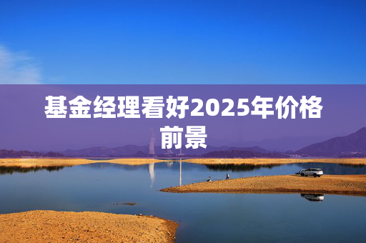 基金经理看好2025年价格前景