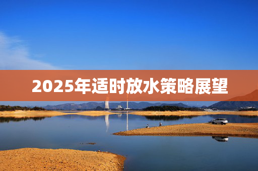 2025年适时放水策略展望