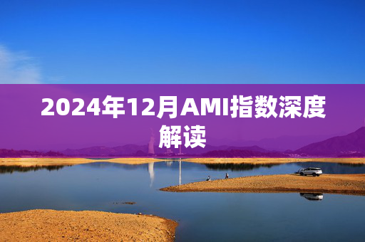 2024年12月AMI指数深度解读