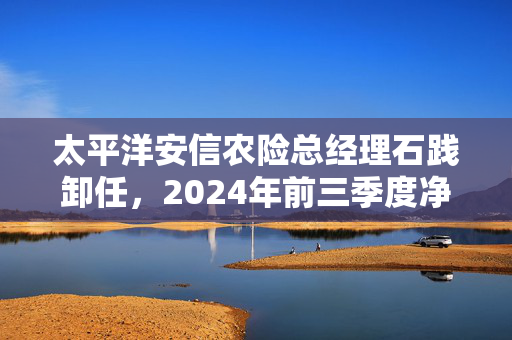 太平洋安信农险总经理石践卸任，2024年前三季度净利润大降近七成