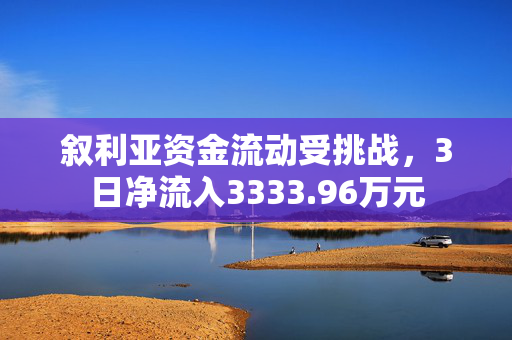 叙利亚资金流动受挑战，3日净流入3333.96万元