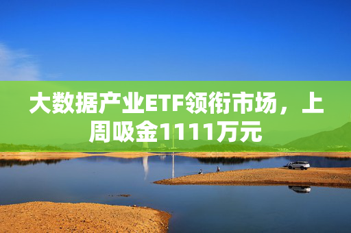 大数据产业ETF领衔市场，上周吸金1111万元