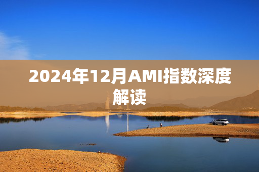 2024年12月AMI指数深度解读