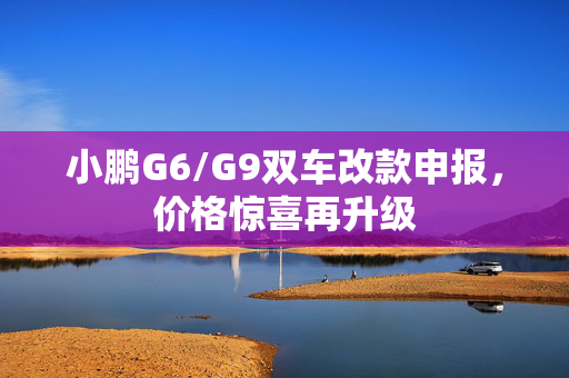 小鹏G6/G9双车改款申报，价格惊喜再升级