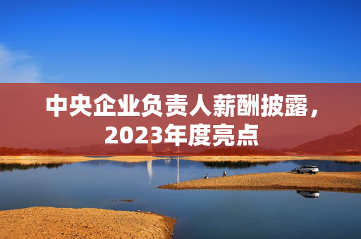 中央企业负责人薪酬披露，2023年度亮点