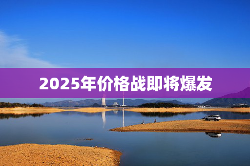 2025年价格战即将爆发