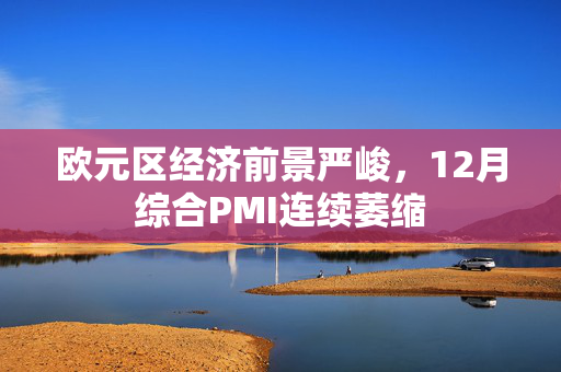 欧元区经济前景严峻，12月综合PMI连续萎缩