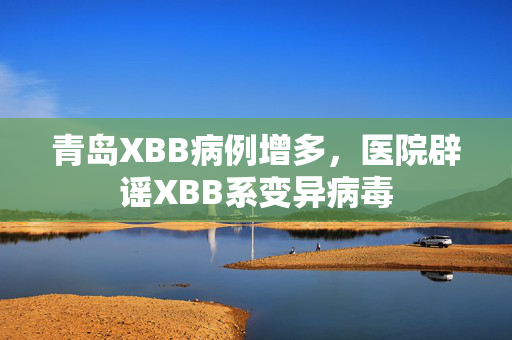 青岛XBB病例增多，医院辟谣XBB系变异病毒