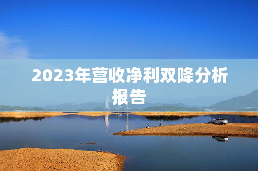 2023年营收净利双降分析报告