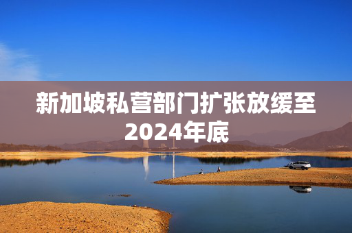 新加坡私营部门扩张放缓至2024年底