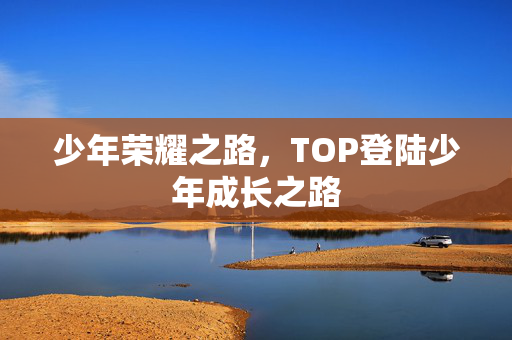 少年荣耀之路，TOP登陆少年成长之路