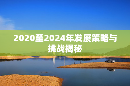 2020至2024年发展策略与挑战揭秘