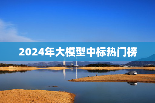 2024年大模型中标热门榜