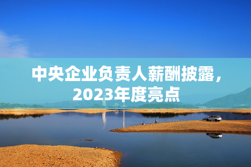 中央企业负责人薪酬披露，2023年度亮点