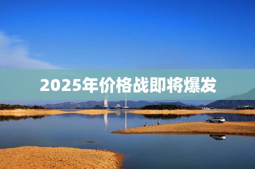 2025年价格战即将爆发