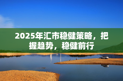 2025年汇市稳健策略，把握趋势，稳健前行