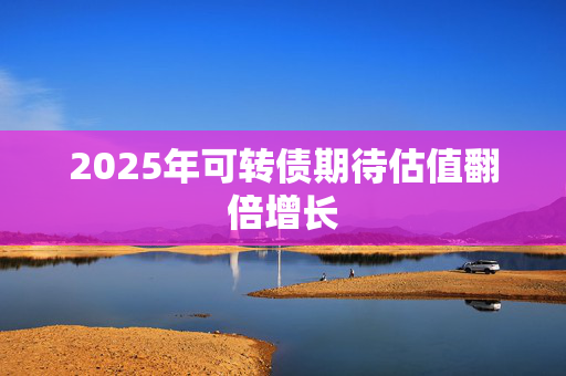 2025年可转债期待估值翻倍增长