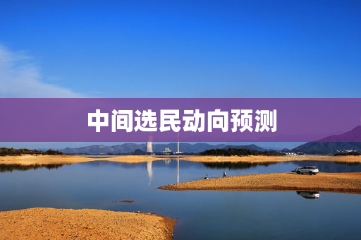 中间选民动向预测